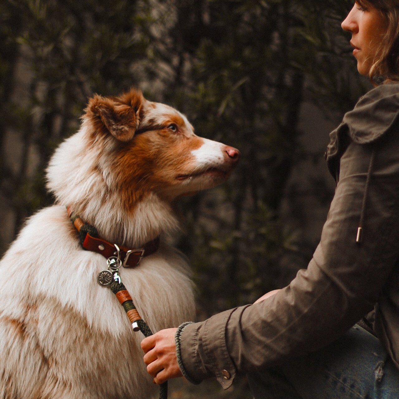 Guia Mãos Livres para cachorros Adventure