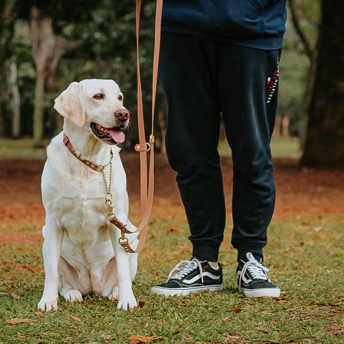 Guia ajustável tipo mãos livres para cachorros de Biothane Elements