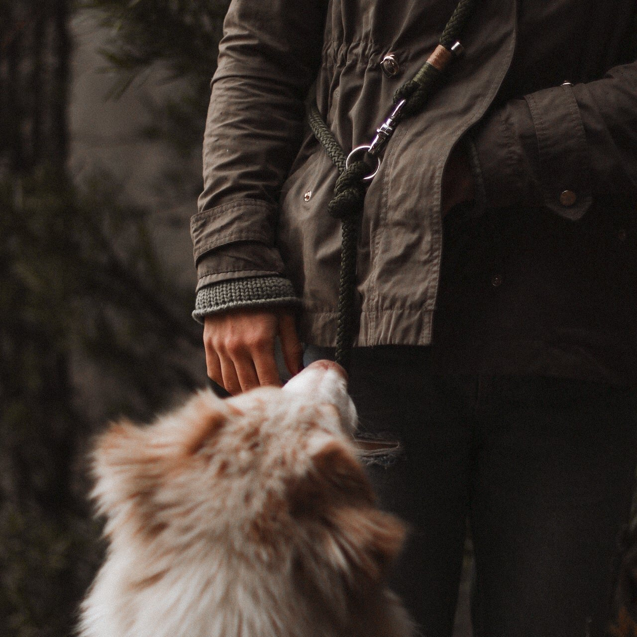 Guia Mãos Livres para cachorros Adventure