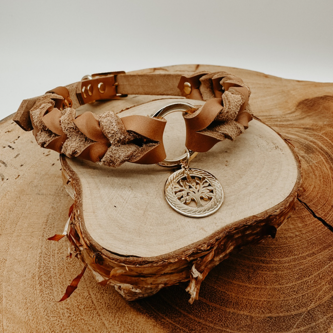 Coleira para cachorros Braidy (personalizado)