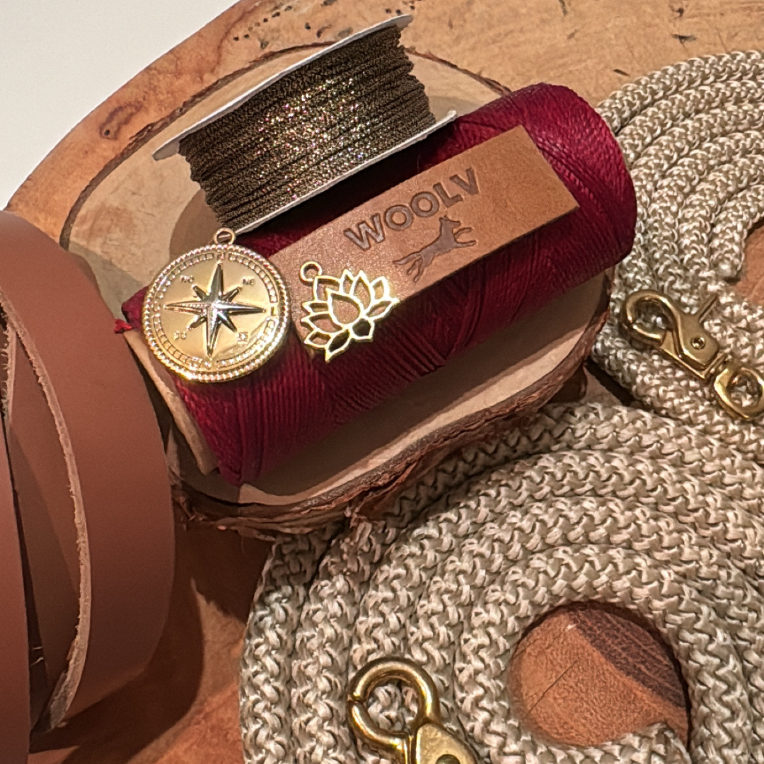 Guia para cachorros Glory