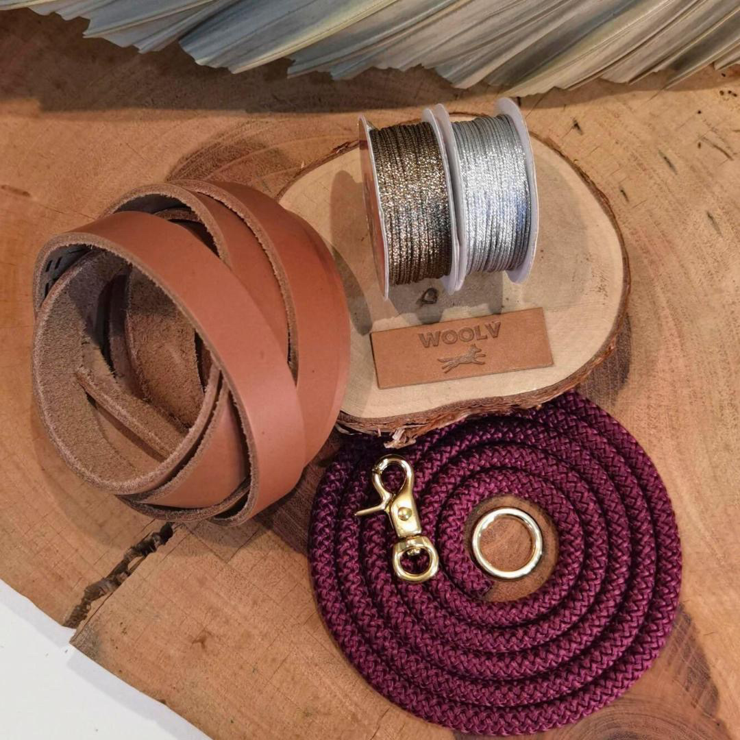 Guia para cachorros pequenos e gatos Magic