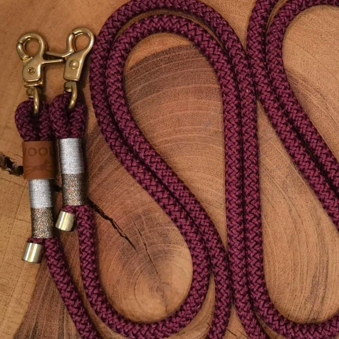 Guia para cachorros pequenos e gatos Magic