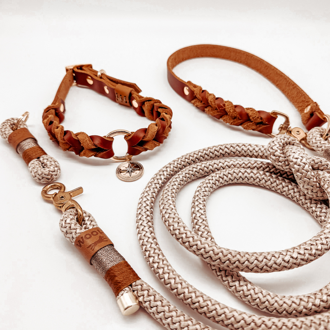 Conjunto Royale | Coleira e Guia para cachorros