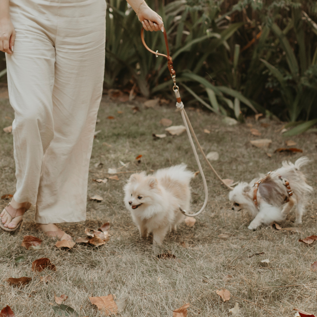 Guia Dupla para cachorros - Adaptador Mini (personalizado)