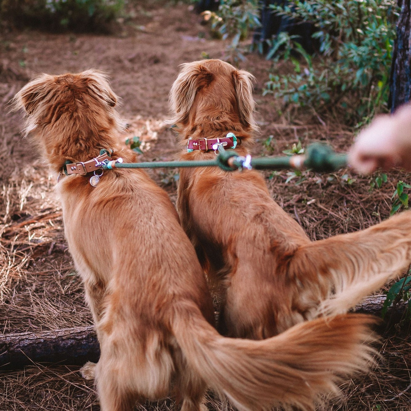 Guia Dupla para cachorros - Adaptador