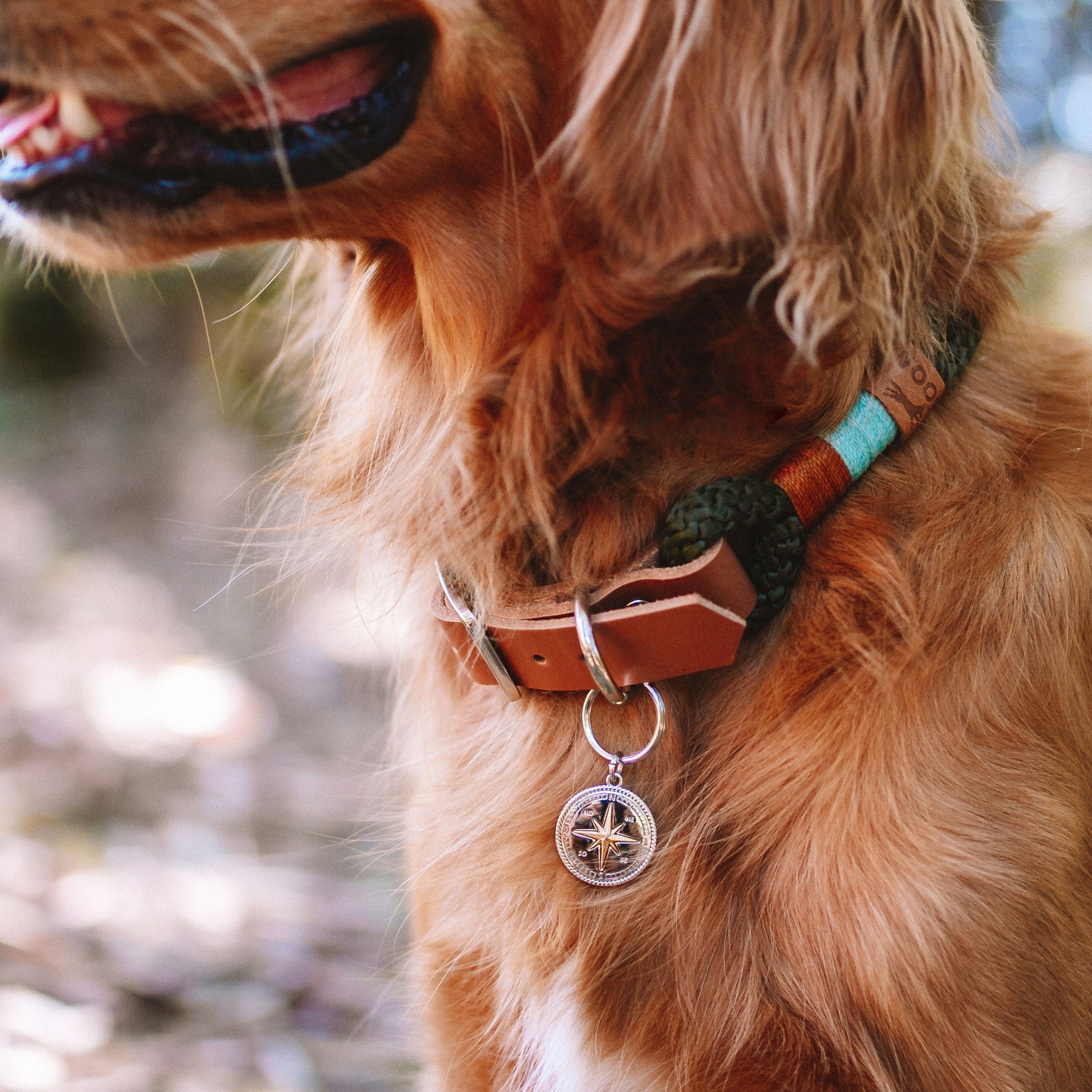 Coleira para cachorros Origins