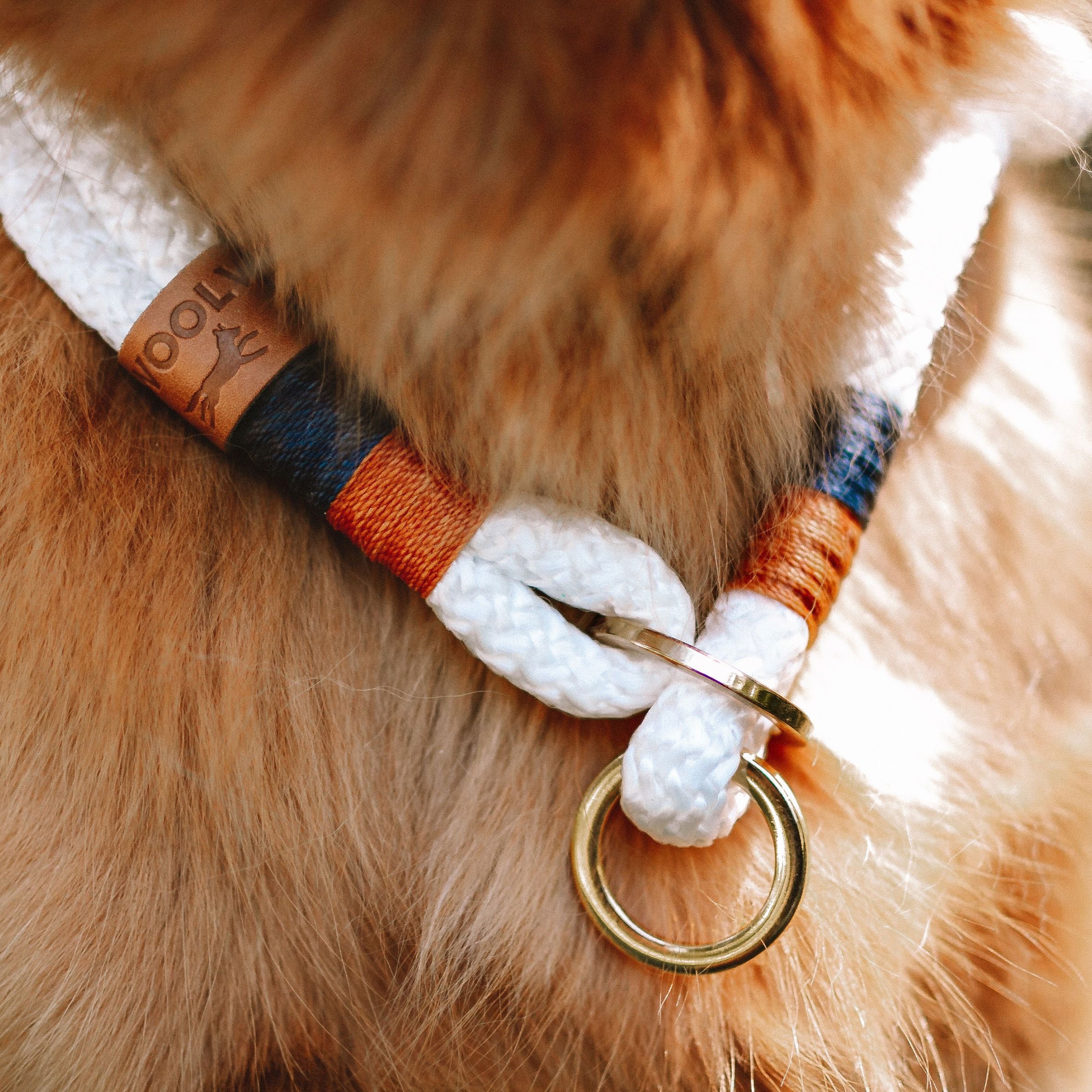 Coleira de corda para cachorros Flexy