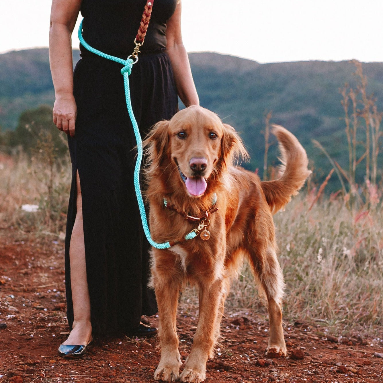 Coleira e Guia para cachorros Eclypse