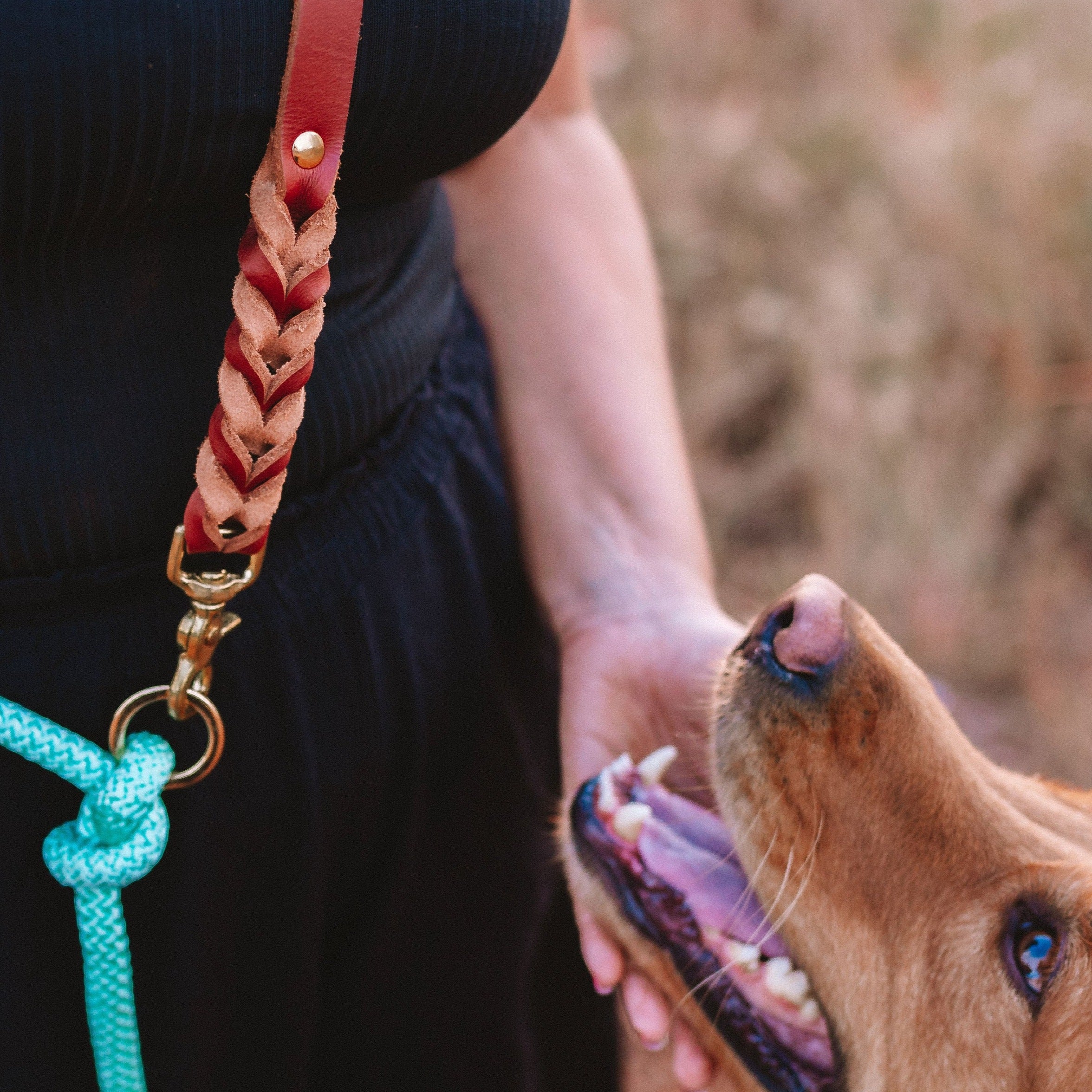 Guia Mãos Livres para cachorros Luxury