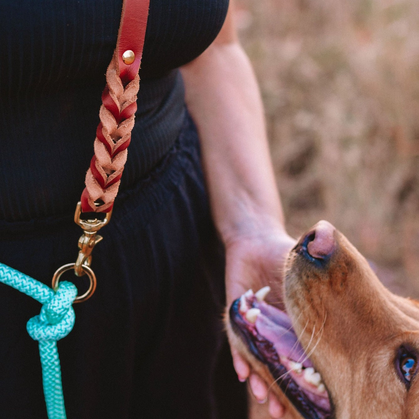 Coleira e Guia para cachorros Eclypse