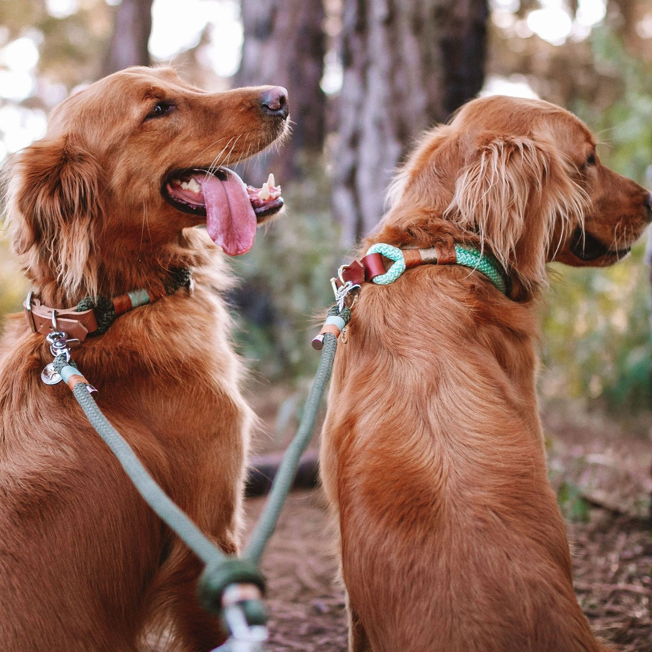 Guia Dupla para cachorros - Adaptador