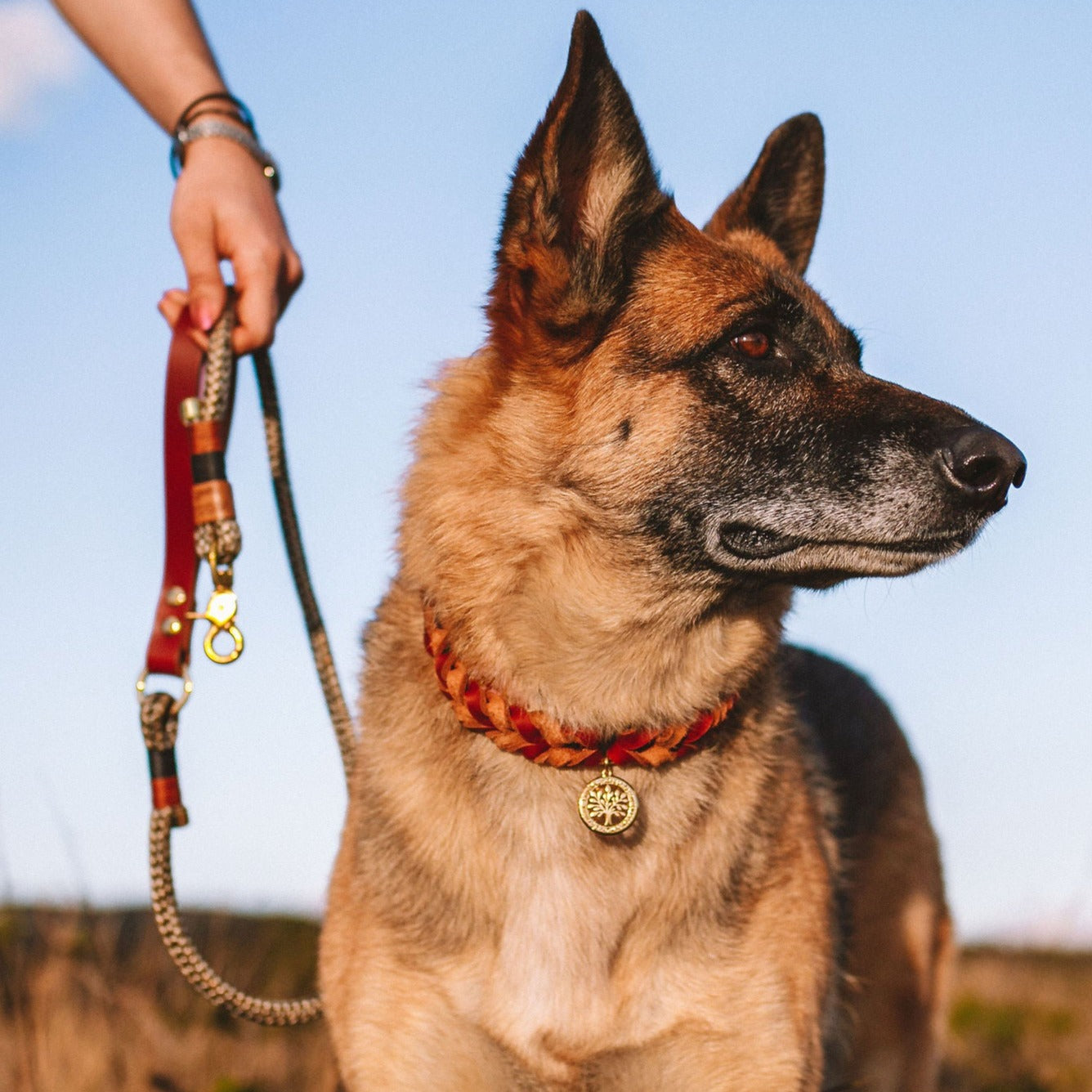 Conjunto Wildland | Coleira e Guia para cachorros