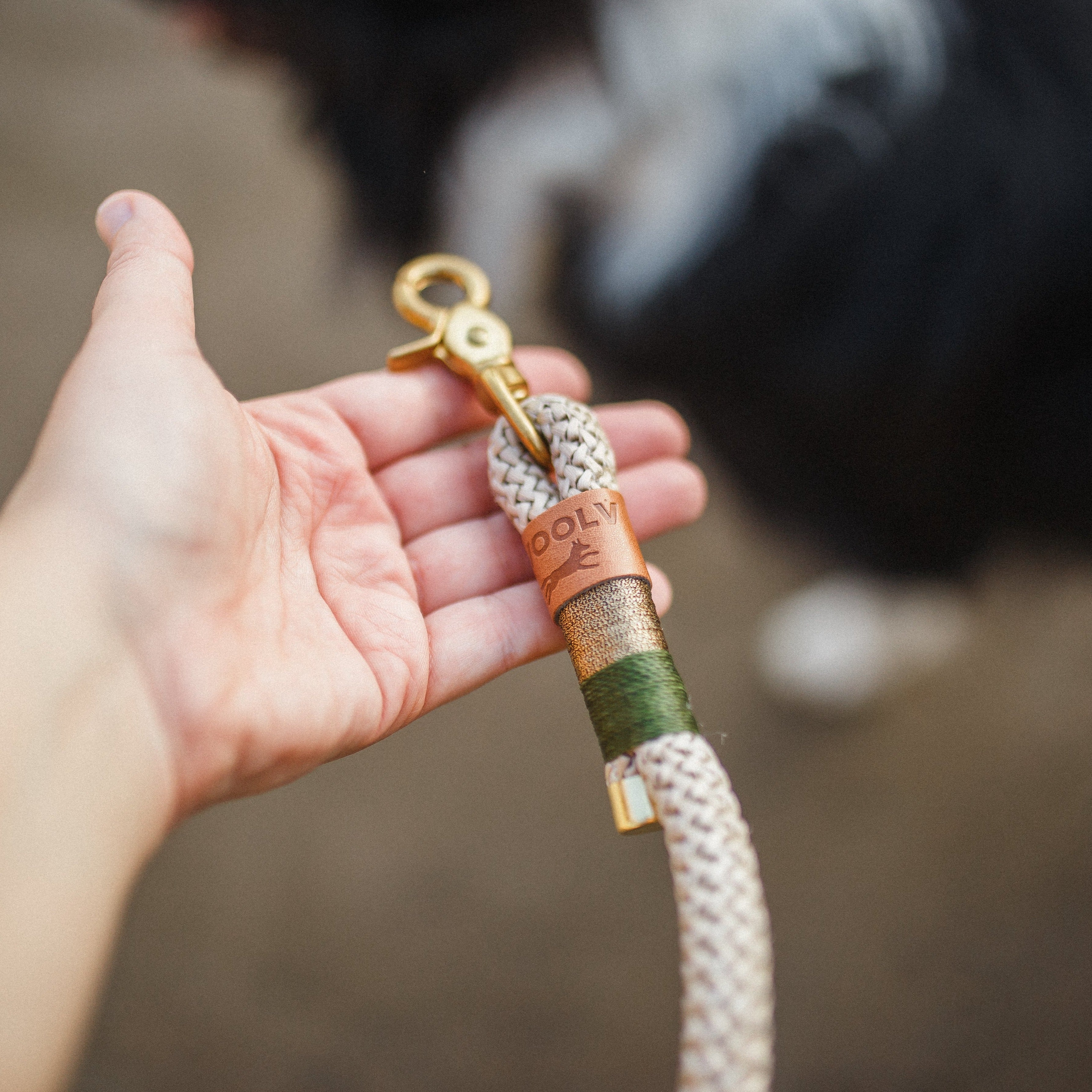 Conjunto Greenwood | Coleira e Guia para cachorros